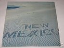 New Mexico LP Record ST Decade 205081 RARE FUNK LISTEN