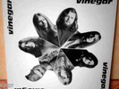 VINEGAR - RARE PRIVATE GERMAN KRAUT PSYCH LP 1971 MINT