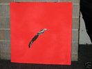 RARE ANIMAL COLLECTIVE HOLLINNDAGAIN ORIG HANDMADE LP