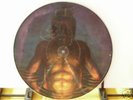 *TOOL* Cesero Summability AENIMA PICTURE DISC Perfect