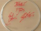 SEX PISTOLS autographed signed DRUM SKIN w/COA