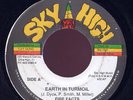 Fire Facts Earth in Turmoil rare digi roots JA Listen