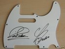STATUS QUO signed ELECTRIC GUITAR PICK GUARD