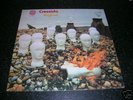 PROG ALBUM. CRESSIDA. ASYLUM. VERTIGO SWIRL