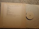 Dinosaur Jr.   First LP Homestead TEST PRESSING
