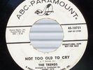 NORTHERN SOUL DJ 45 BY THE TRENDS ON ABC-PARAMOUNT