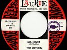 RARE DOO WOP - MOTIONS - MR. NIGHT - LAURIE - HEAR