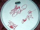 WOW Signed RED HOT CHILLI PEPPERS Autographed DRUMSKIN