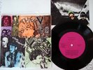 Punk rock 33 1/3 record Vertical Slit  Urban Imprint 3