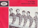 THE BEACH BOYS IN MY ROOM + PS 1966