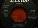 CAROL SHINNETE | CYANIDE LOVE | KILLER BOOGIE 45