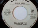 Northern Soul  RCA DEMO  SHARON SCOTT   COULD IT BE YOU