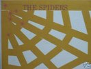 Spiders 