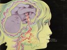 KEITH TIPPETT - 1971 UK ORIG VERTIGO SWIRL SPIRAL LP