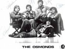 THE OSMONDS ORIGINAL HAND SIGNED PHOTO 1975