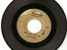 The Rogues - Rochester Garage 45 - Audition 6110 - Rare