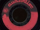 Garage 45  - The Rogues - Audiodisc Acetate unreleased?
