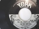 BRIAN WILSON RELATED 45 - YES SIR, THAT'S MY BABY