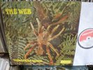 WEB - THERAPHOSA BLONDI, DERAM