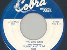 SUNNYLAND SLIM Walter Horton harp 45rpm Cobra [HEAR]