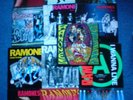 Plattenpacket: Ramones - 13 LPs