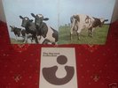 PINK FLOYD Atom Heart Mother LP 1970 HARVEST 1st Press
