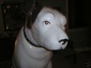 Elvis Presley  RCA Nipper Dog Original Item 1970's