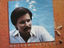 Private Soft Rock LP HOLLAND YOUNG Determination 1982