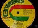 WAYNE SMITH   ICKLE ALL OVER/TONT IRIE   LIFE STORY