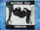 SACCHARINE TRUST - PAGANICONS LP w LYRICS  SST PUNK KBD