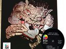 BLACK CAT BONES--Rock--Psyche---Garage LP--Barbed Wire
