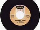RARE DOO-WOP - CHAPERONES - BLUEBERRY SWEET - HEAR