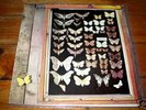 Mayfly Dutch orgnl NM Folk Psych masterpiece LP 70s RAR
