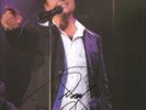 DONNY OSMOND SIGNED CONCERT PROGRAMME...  UK TOUR 2007