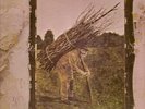 LED ZEPPELIN. 1V. ALBUM. LP. WHITE LABEL.MINT.VERY RARE