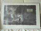 Collector : disque de diamant de Francis CABREL 1994