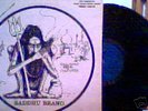 SADDHU BRAND Whole Earth Rhythm RARE LP psych Anna Chak