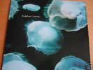 HEATHER NOVA GLOW STARS ULTRA-RARE 1993 VINYL LP