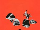 Animal Collective Hollinndagain ORIGINAL Lp NM Insert+