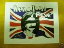 Sex Pistols - Jamie Reid - Never Trust A Punk