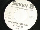 ROY WARD - HORSE WITH A FREEZE -SEVEN B EDDIE BO BREAK