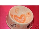 Britney Spears + sister Signed Dog Bowl CHARITY AUCTION