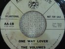 NORTHERN SOUL 45 THE VOLUMES  