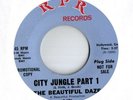BEAUTIFUL DAZE City Jungle FUZZED UP GARAGE PSYCH Hear