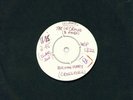 BRYAN FERRY THE IN CROWD 45 WHITE LABEL