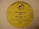 TERRI GONZALEZ – HOW GODD IT IS Very  Funky Disco