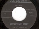 JOE D. JOHNSON 45RPM '59 RATTLESNAKE DADDY ROCKABILLY