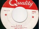 Canada  Garage 45 -THE HAUNTED -  1  -  2  -  5    HEAR