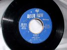 Hick Rockabilly LANIE WALKER 45 on Blue Hen label RARE