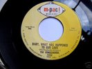 THE RINGLEADERS - M PAC - Baby, What Has Happened To Ou